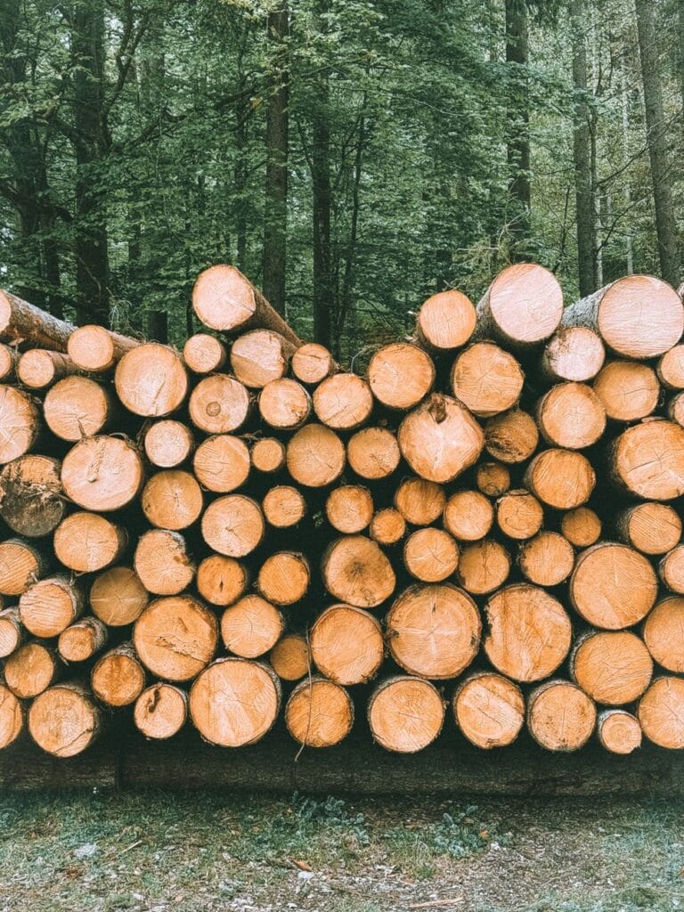 a pile of logs in the woods with the words the best way to get rid of wood